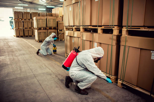 Best Emergency Pest Control  in Magna, UT