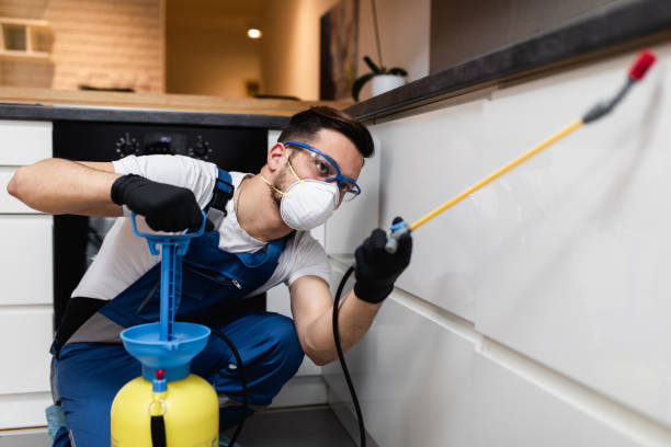 Reliable Magna, UT Pest Control Solutions