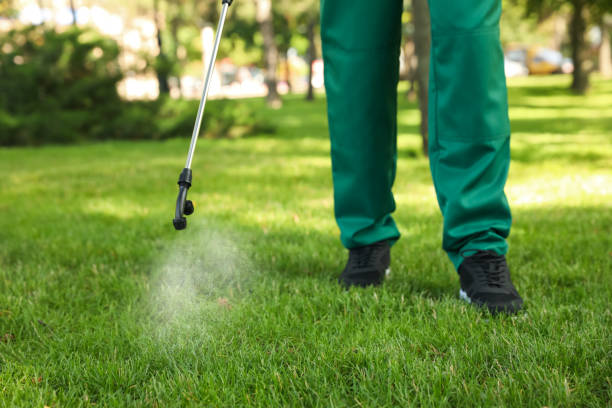 Best Best Pest Control Companies  in Magna, UT