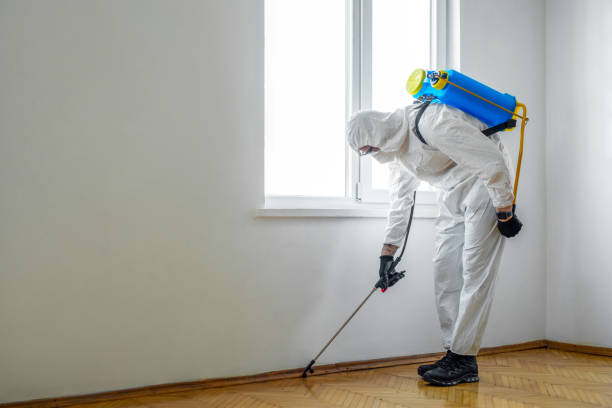 Best Residential Pest Control  in Magna, UT