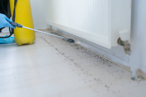 Best Local Pest Control Services  in Magna, UT