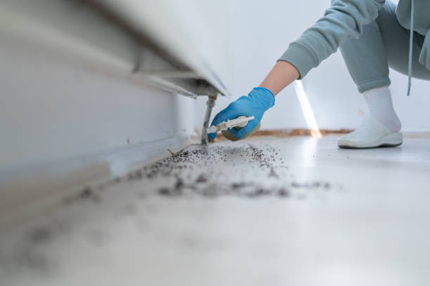 Best Affordable Pest Control Services  in Magna, UT