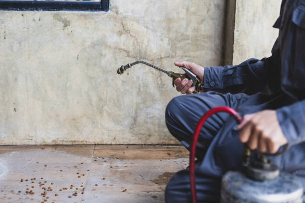 Best Pest Prevention Services  in Magna, UT
