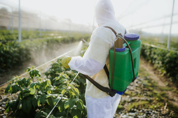 Best Ant Control Services  in Magna, UT